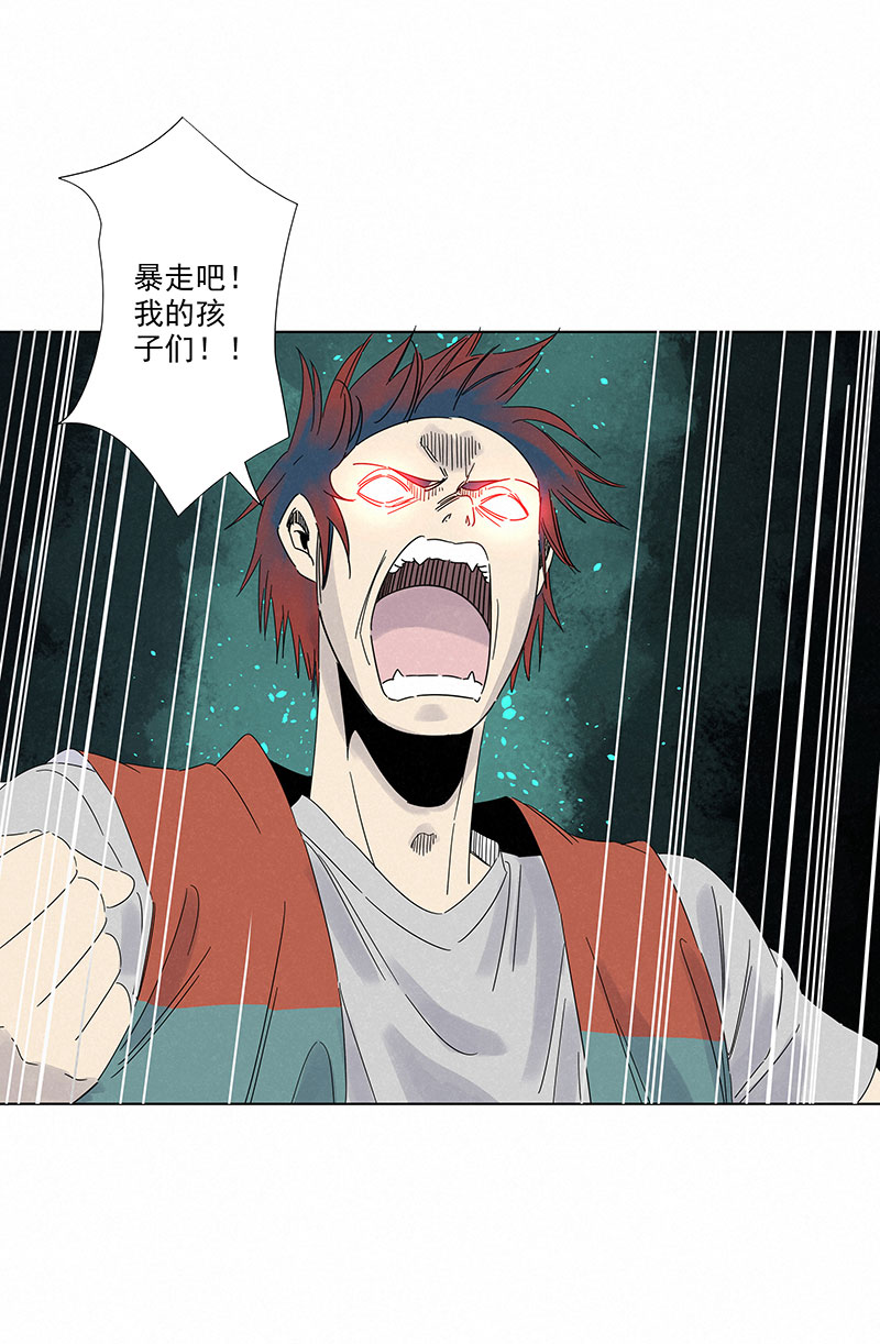 神之一脚第二百九十三波 赌局