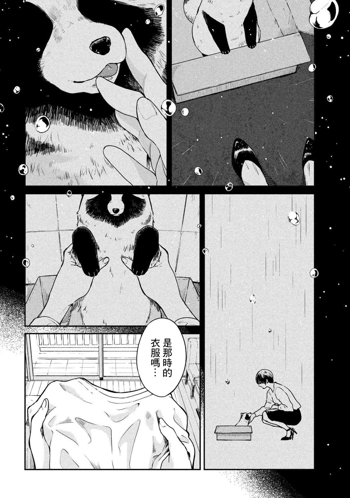 邂逅雨中貉第67话