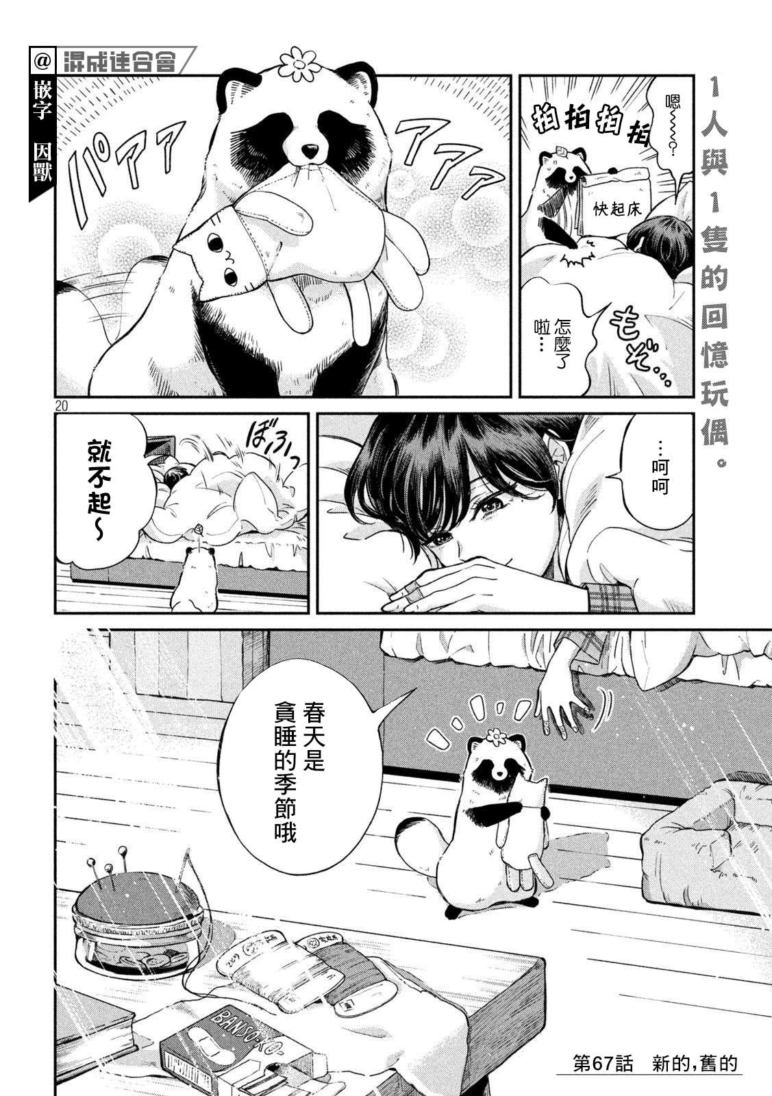 邂逅雨中貉第67话