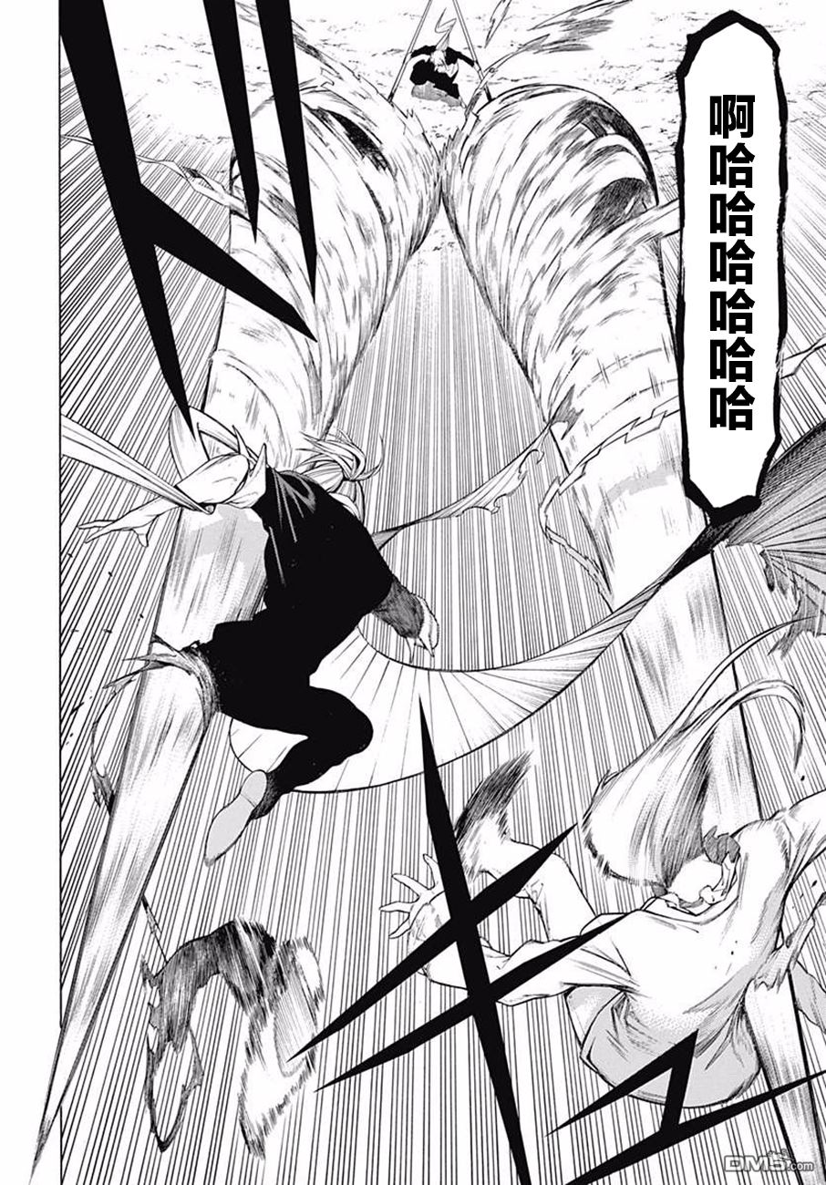 物物语第38话 狂花加强
