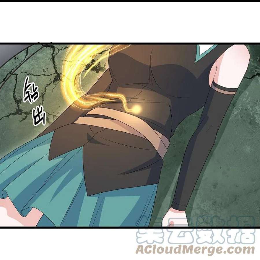 修罗剑尊318话 圣胎