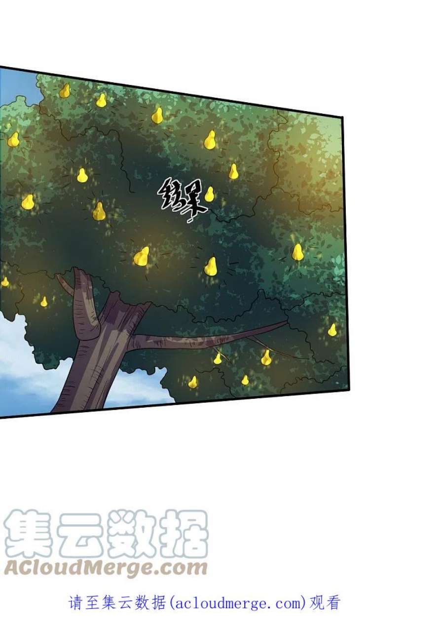修罗剑尊330话 击杀董执法