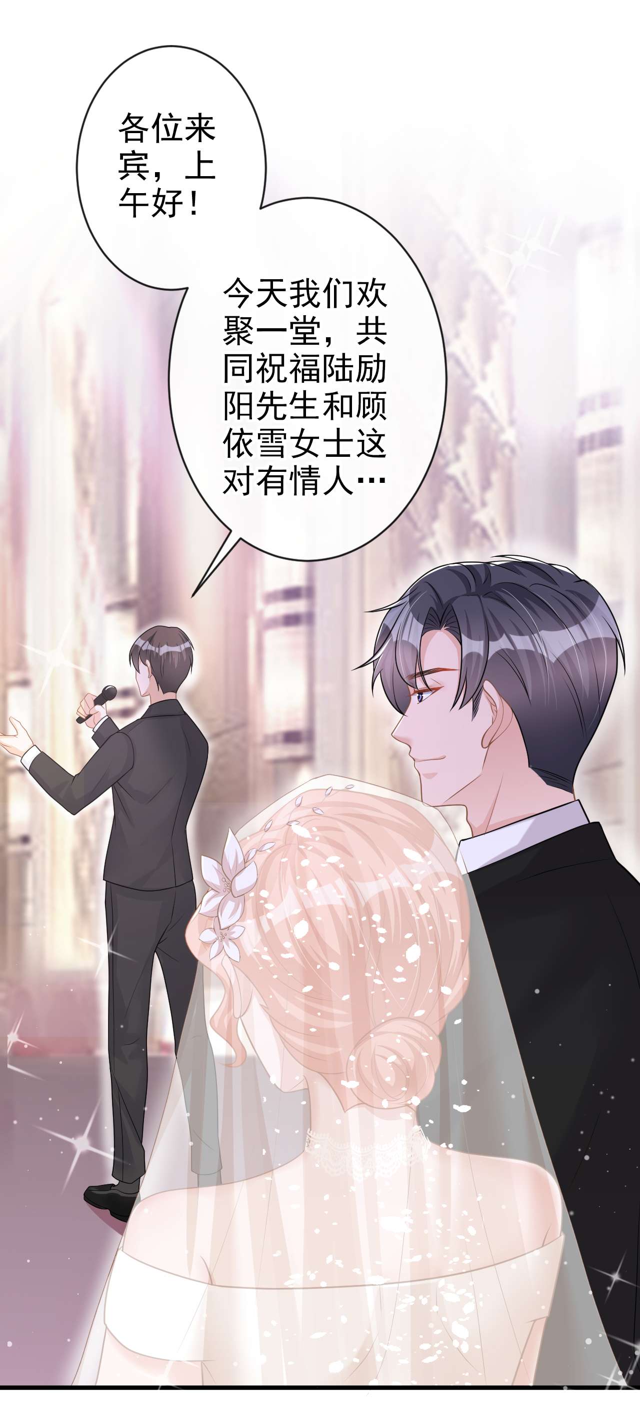 今天拒绝陆先生了吗？41 陆励阳，你要逃婚？