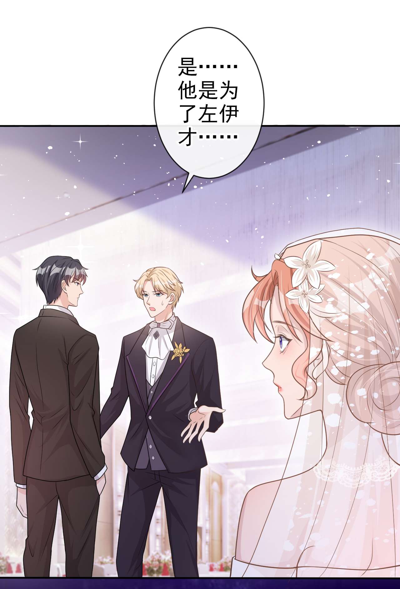 今天拒绝陆先生了吗？41 陆励阳，你要逃婚？