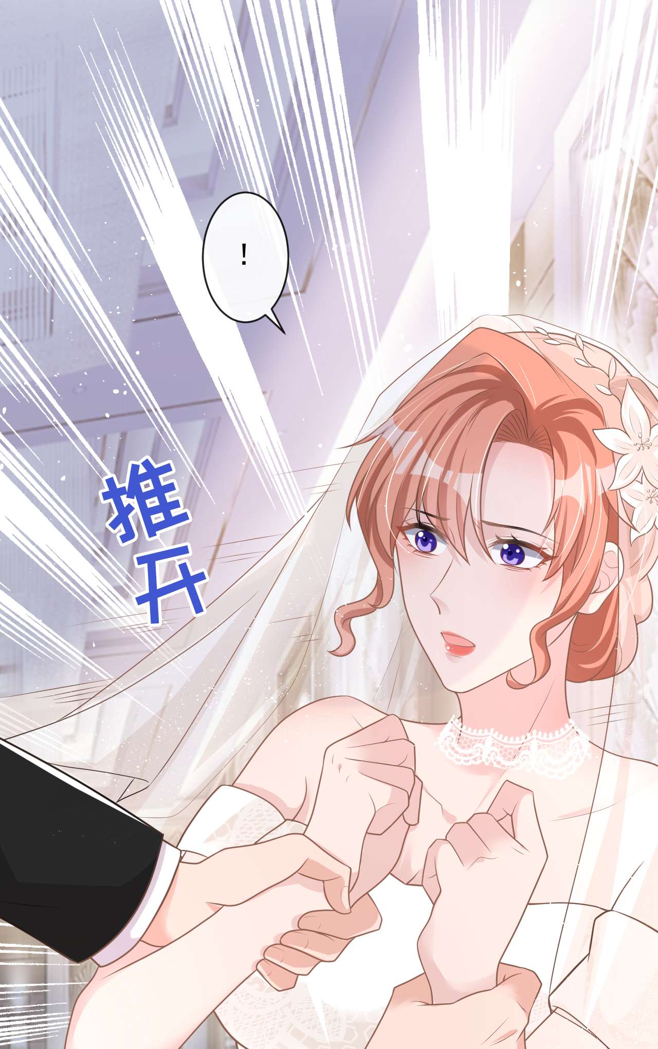 今天拒绝陆先生了吗？41 陆励阳，你要逃婚？