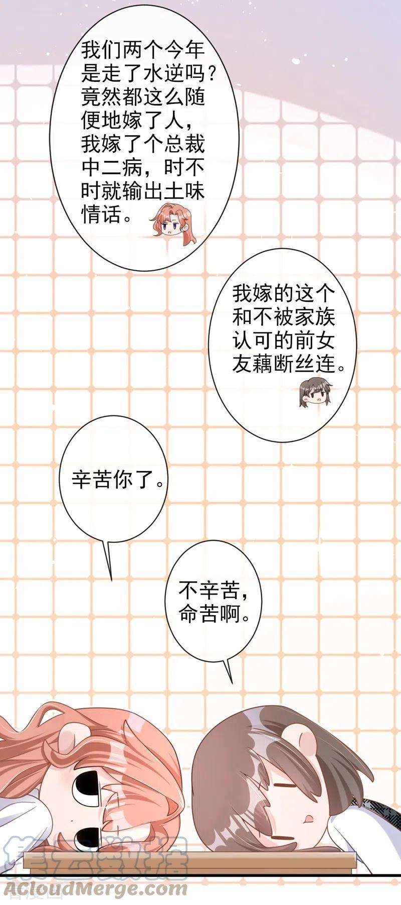 今天拒绝陆先生了吗？33话 我以为你不会来