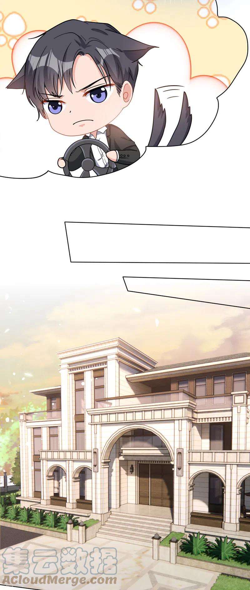 今天拒绝陆先生了吗？51话 有人给她送花了？