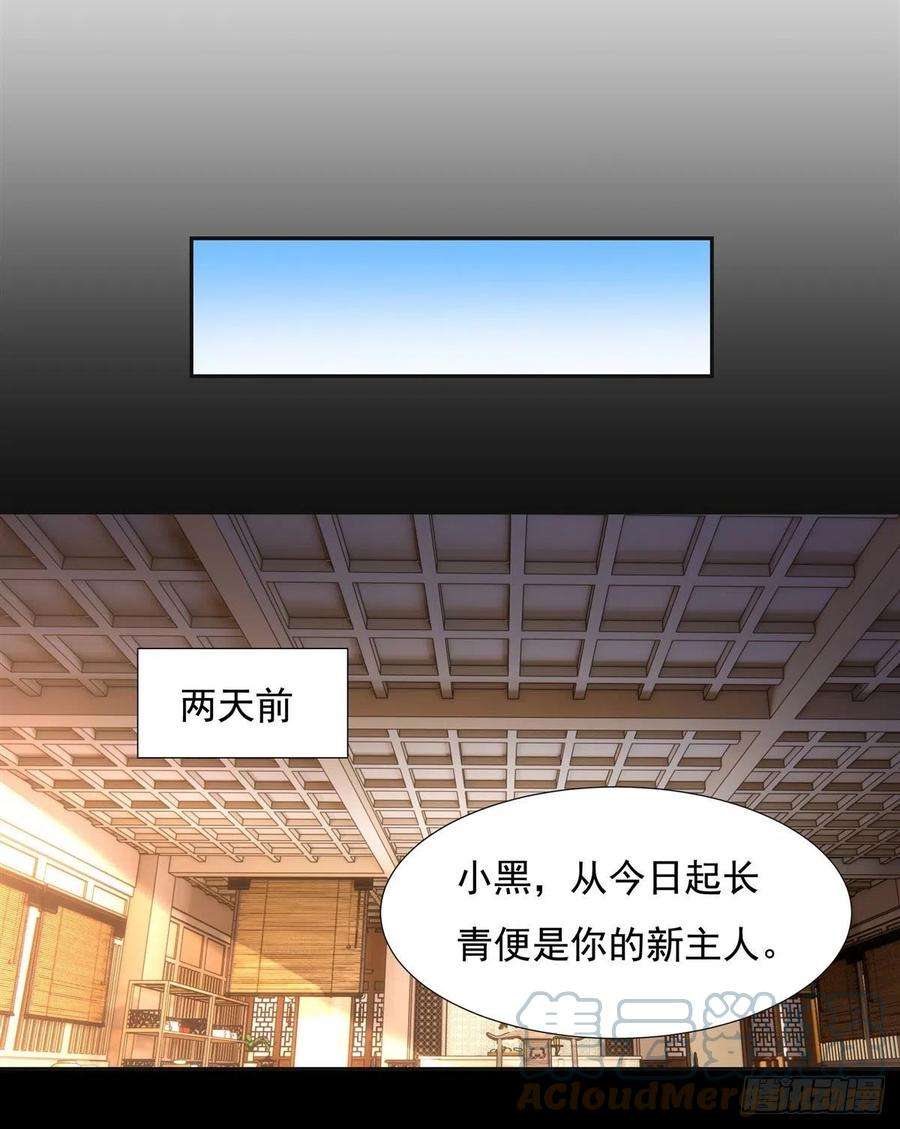 我的女徒弟们都是未来诸天大佬76话 道尊的鸟