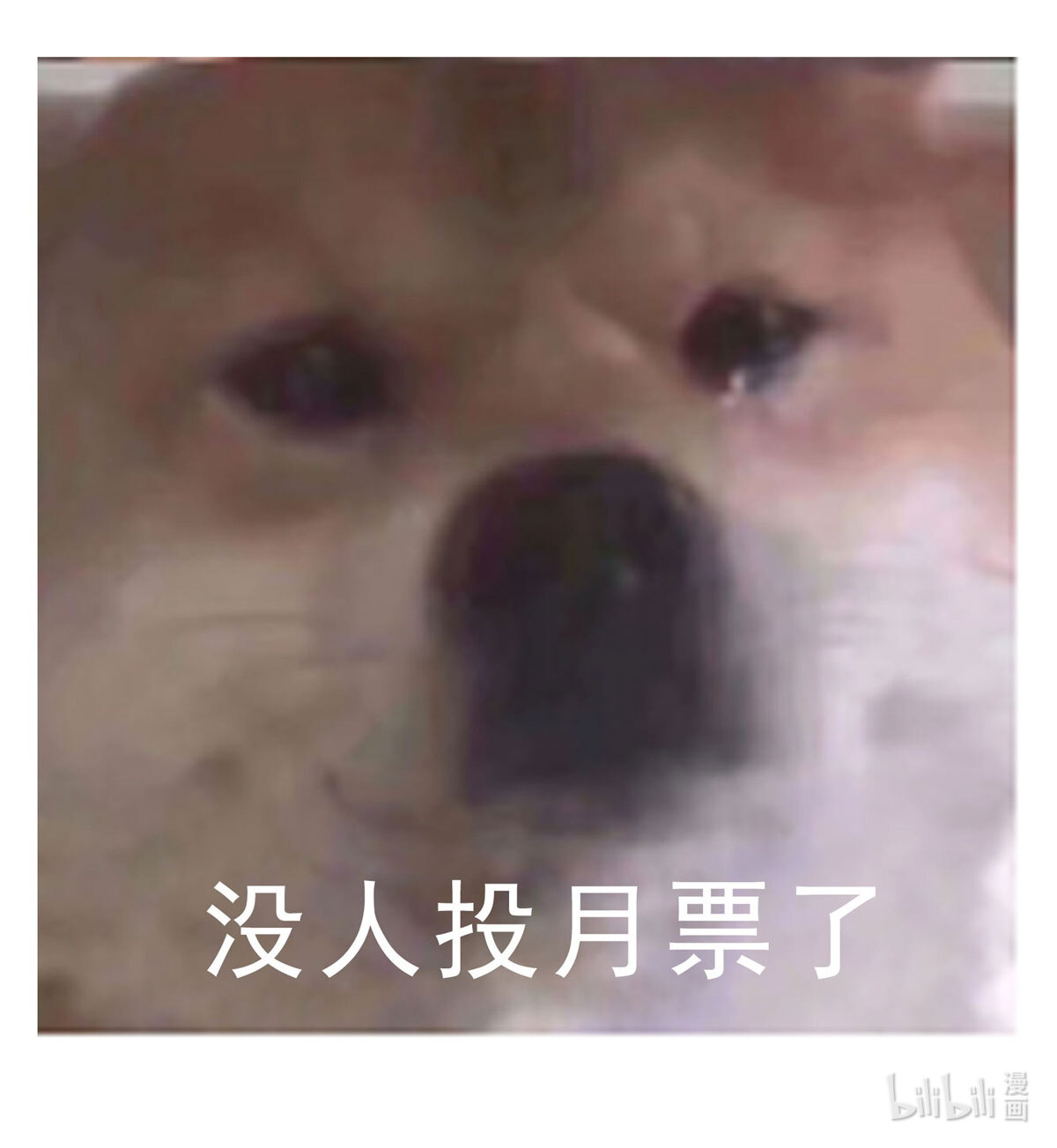 修真聊天群438 白前辈的计划B
