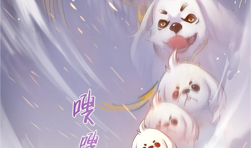 修真聊天群67 书航小友，好处要不要