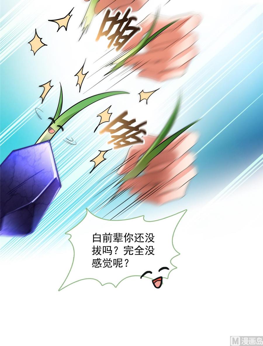 修真聊天群334 别雪仙姬！