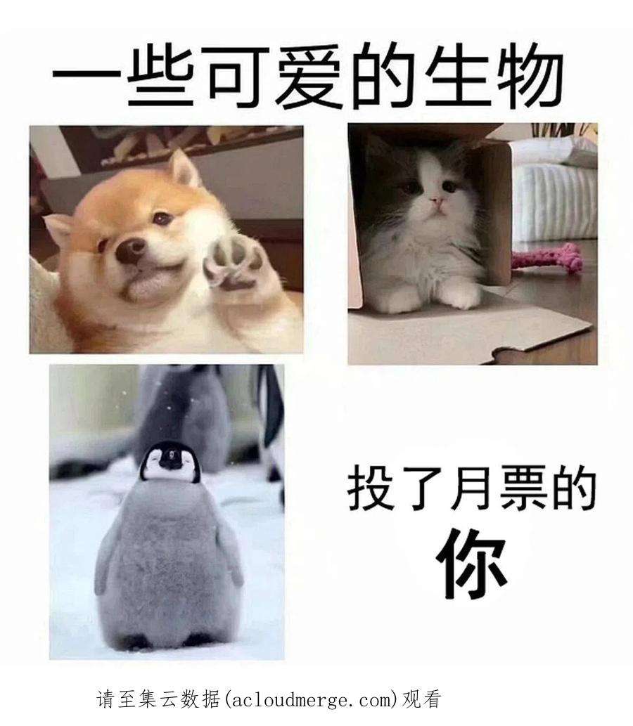 修真聊天群491 被九幽胖球控制的云雀子