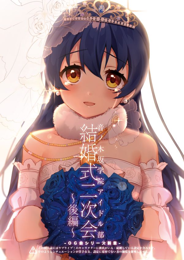 LoveLive音乃木阪学院偶像部 结婚典礼二次会 后篇
