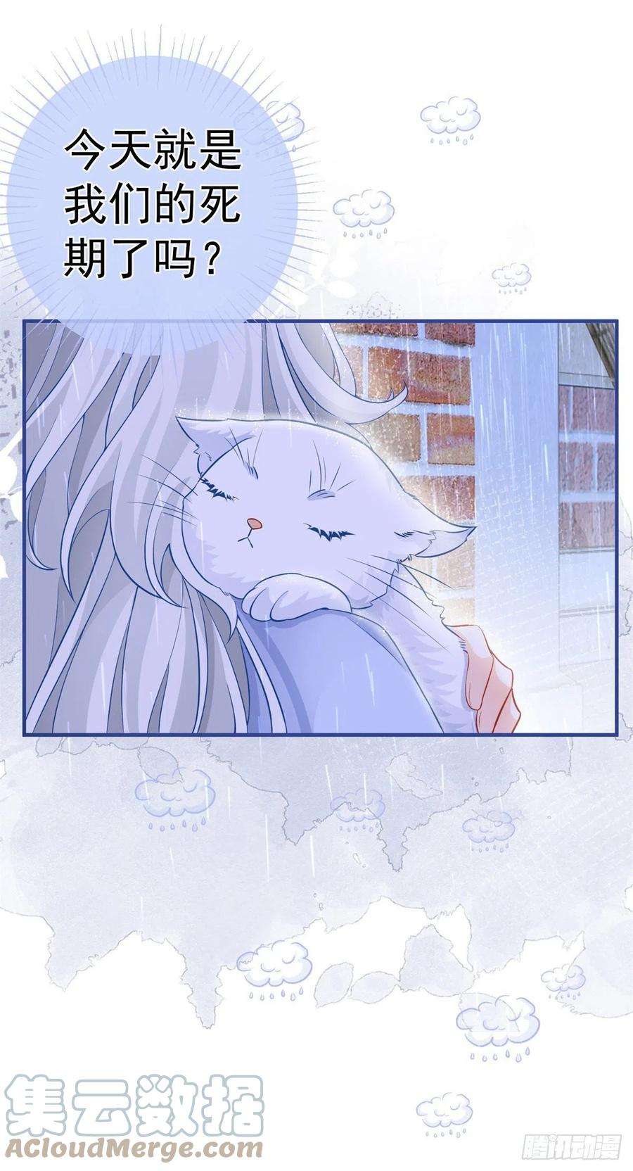 某天成为祭品公主6话 化猫为书