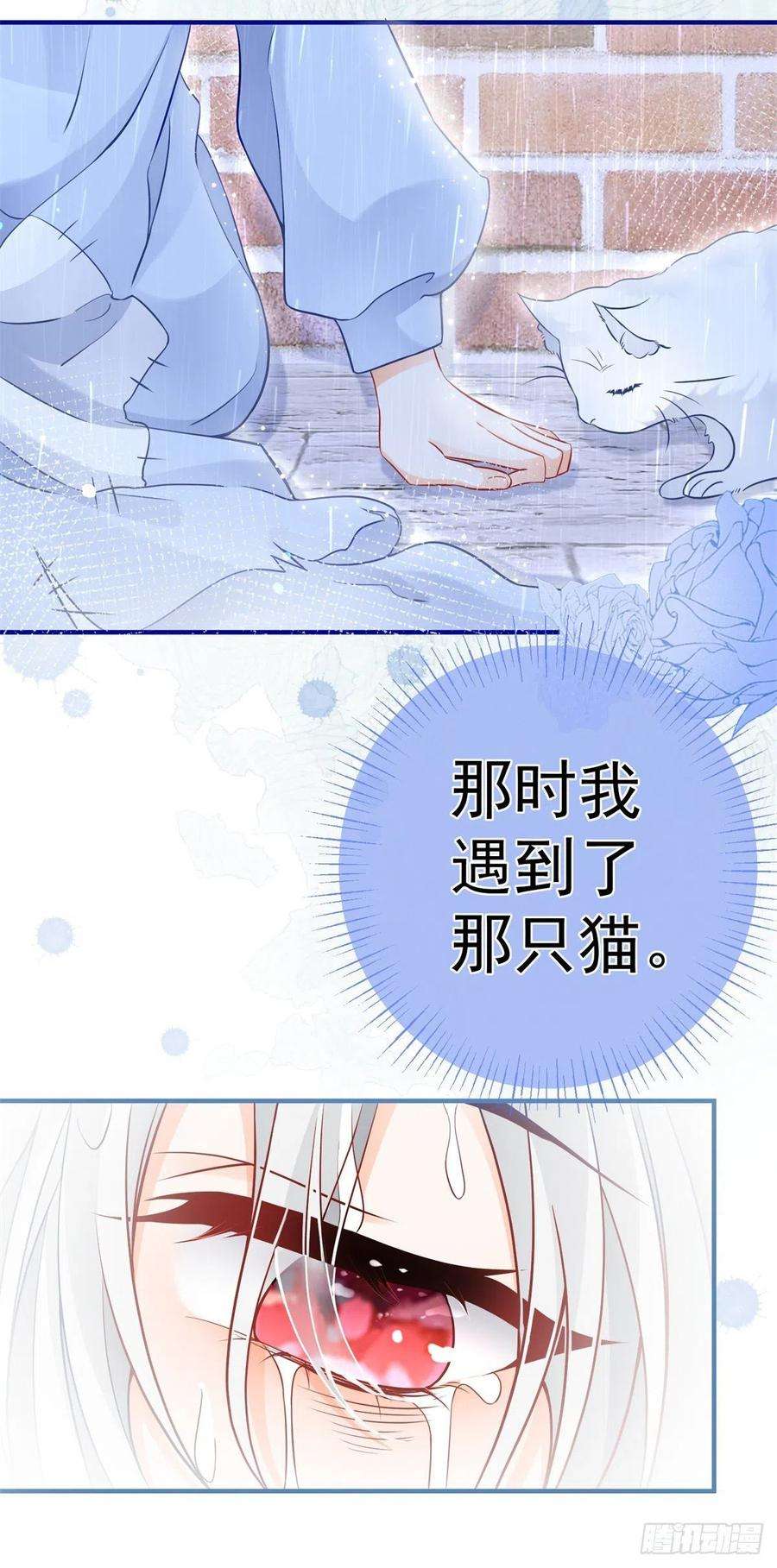 某天成为祭品公主6话 化猫为书