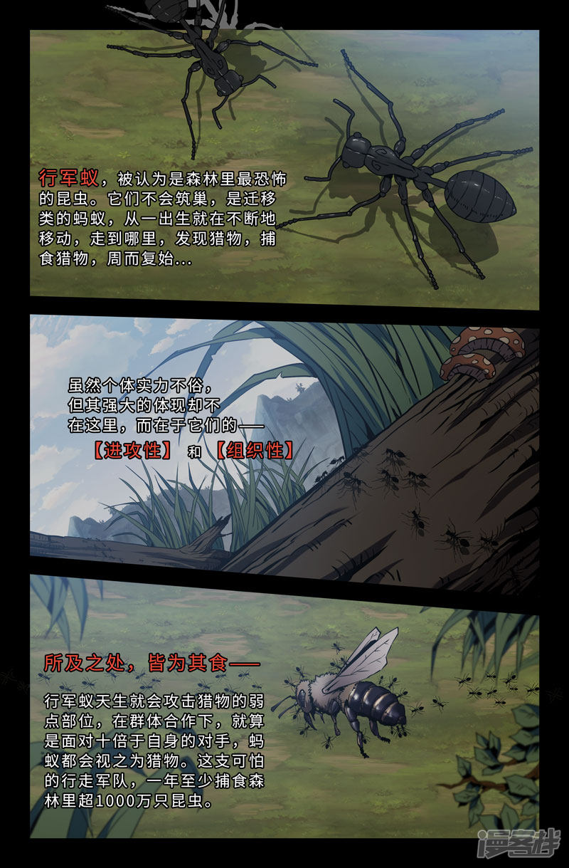 史上最强第53话 忧虑