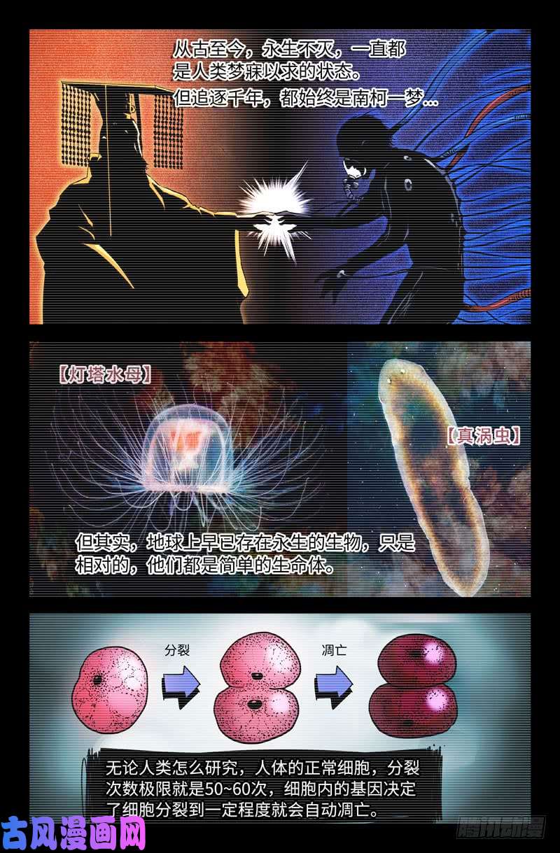 史上最强海拉细胞