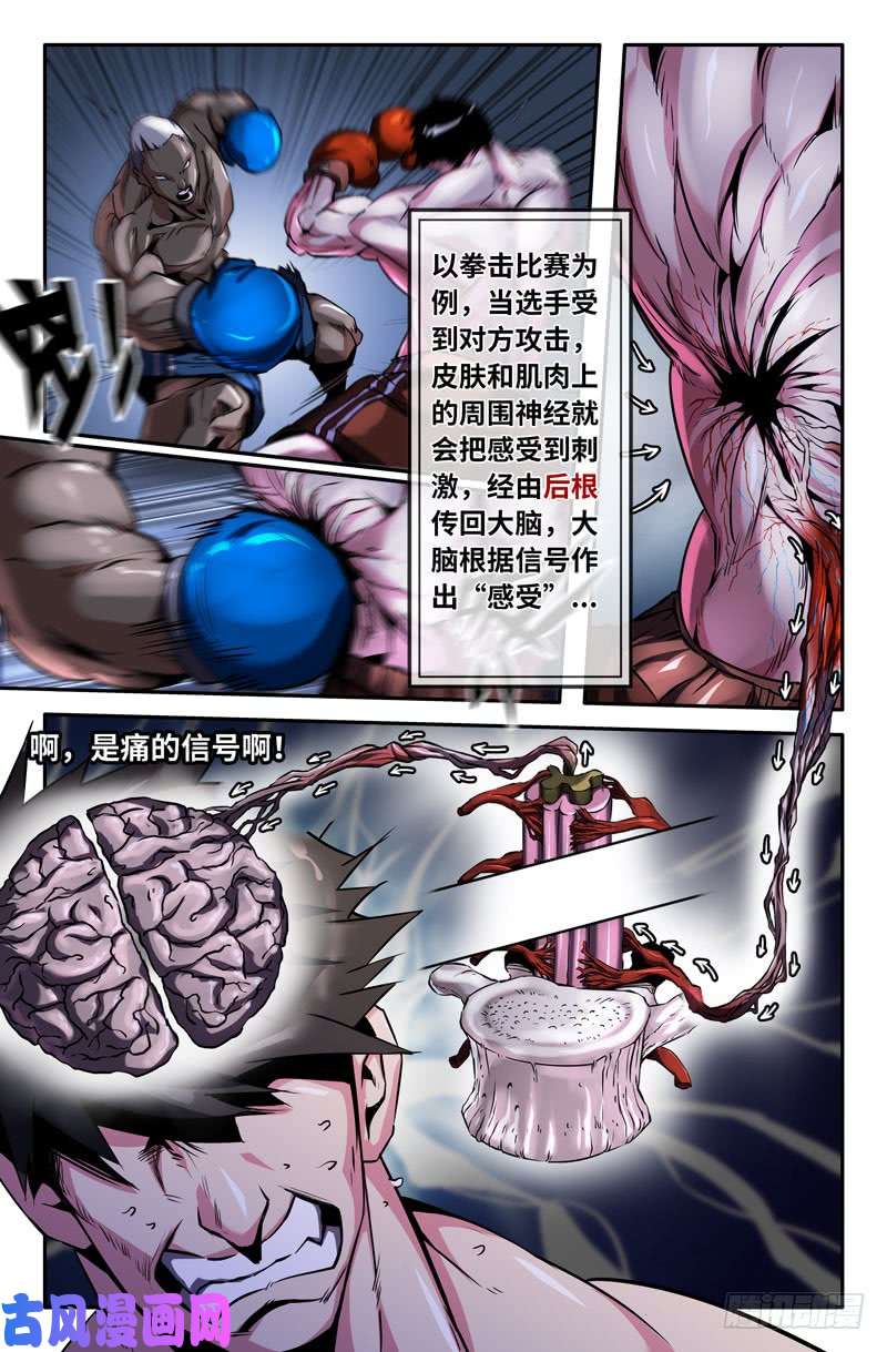 史上最强神经系统