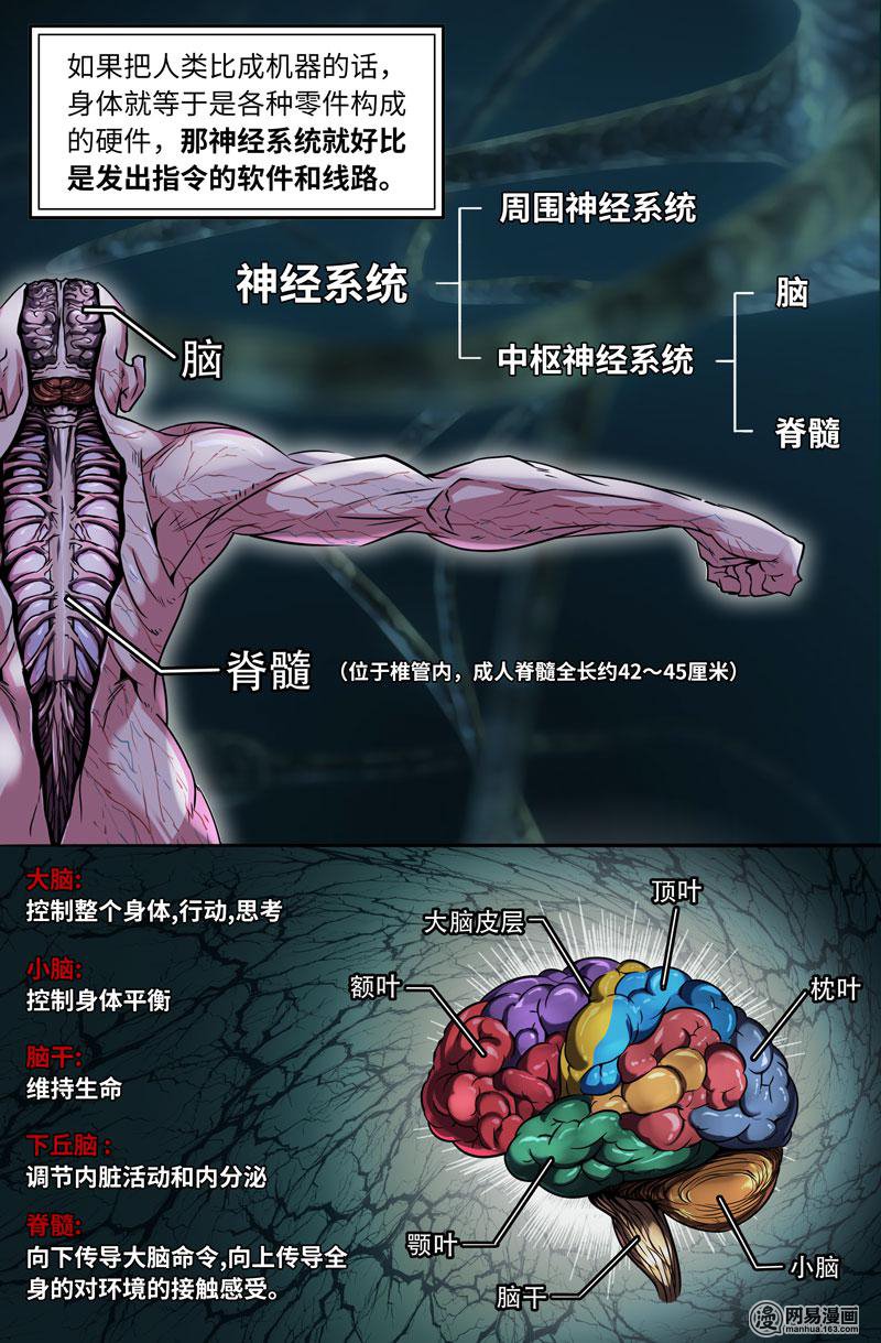 史上最强71 神经系统