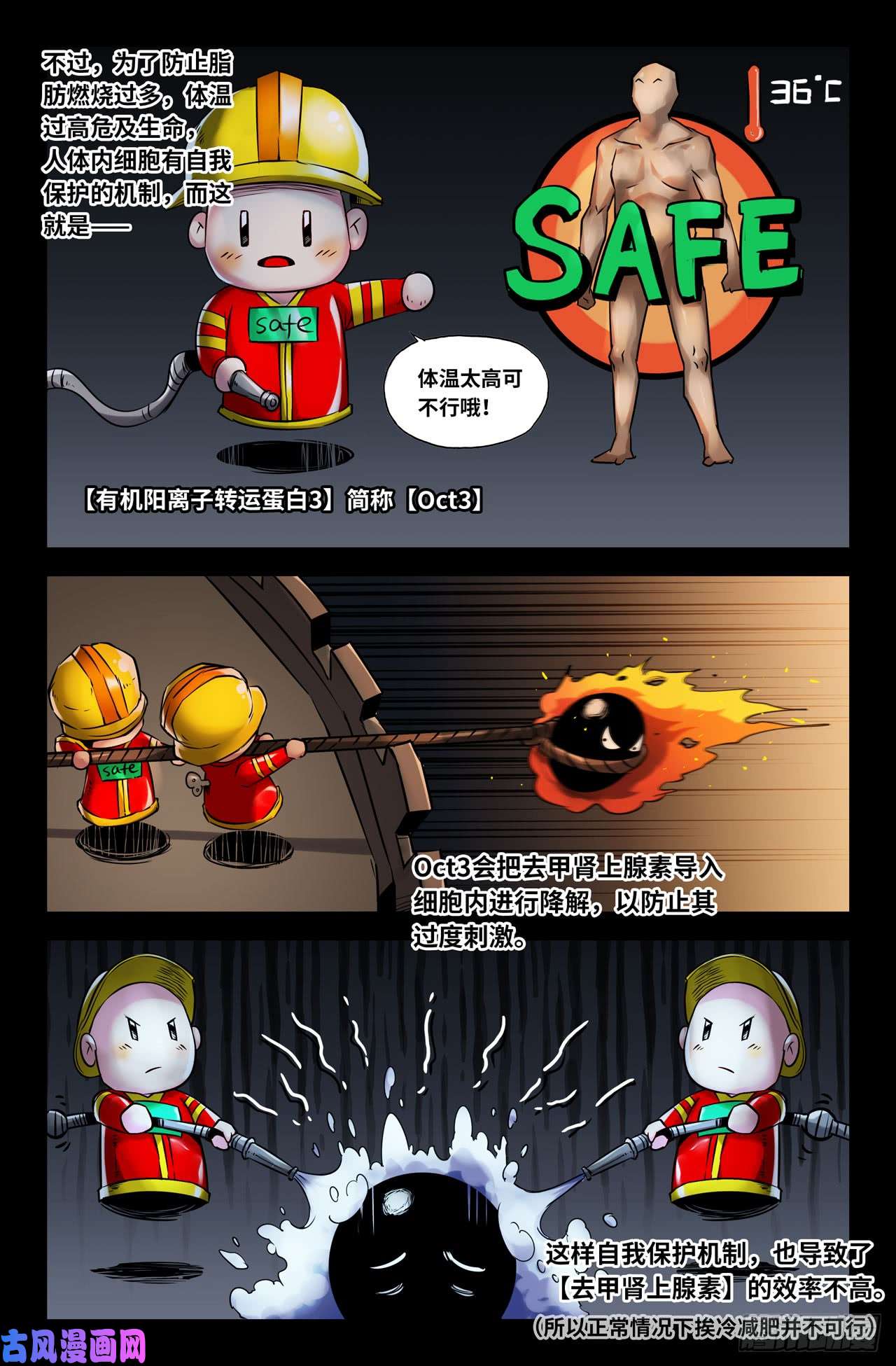 史上最强125-Oct3抑制剂