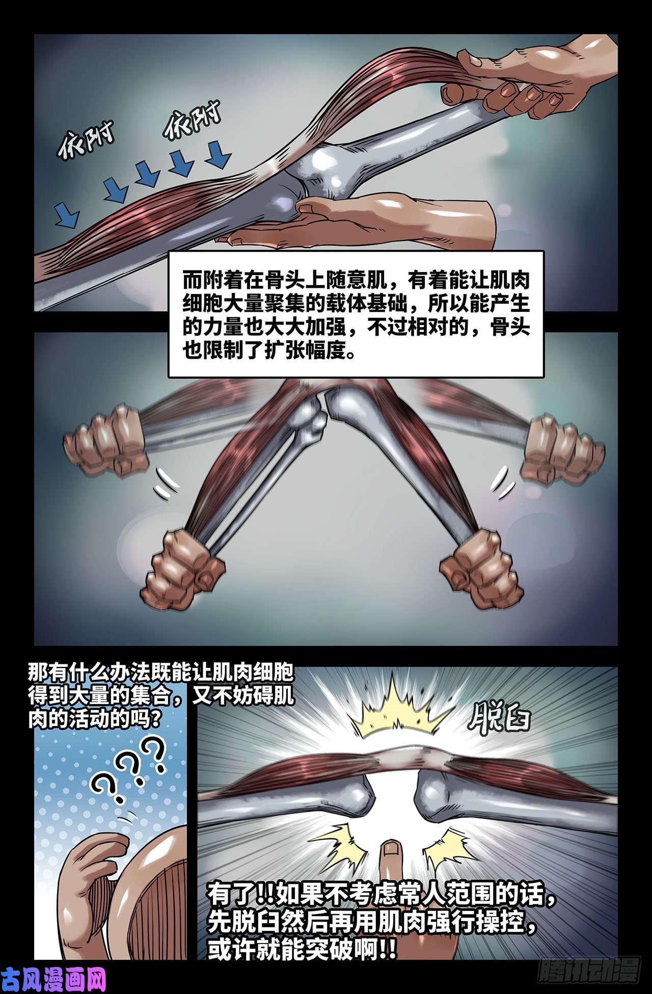 史上最强200- 肌肉骨头