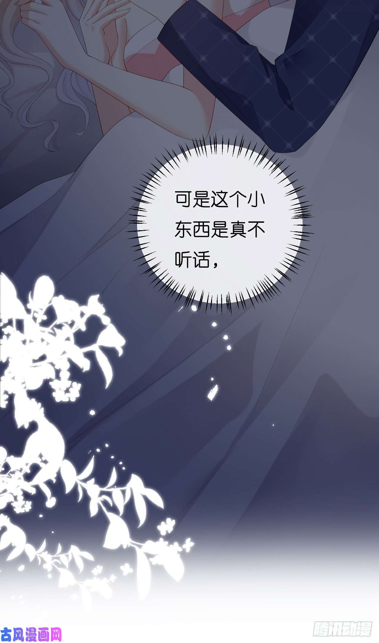 阴影悖论：无法拥有的你第23话 陆家千金