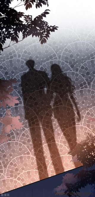 阴影悖论：无法拥有的你39话 再进医院