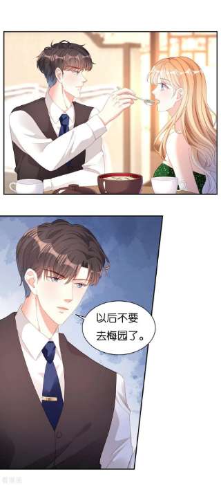 阴影悖论：无法拥有的你41话 梅园