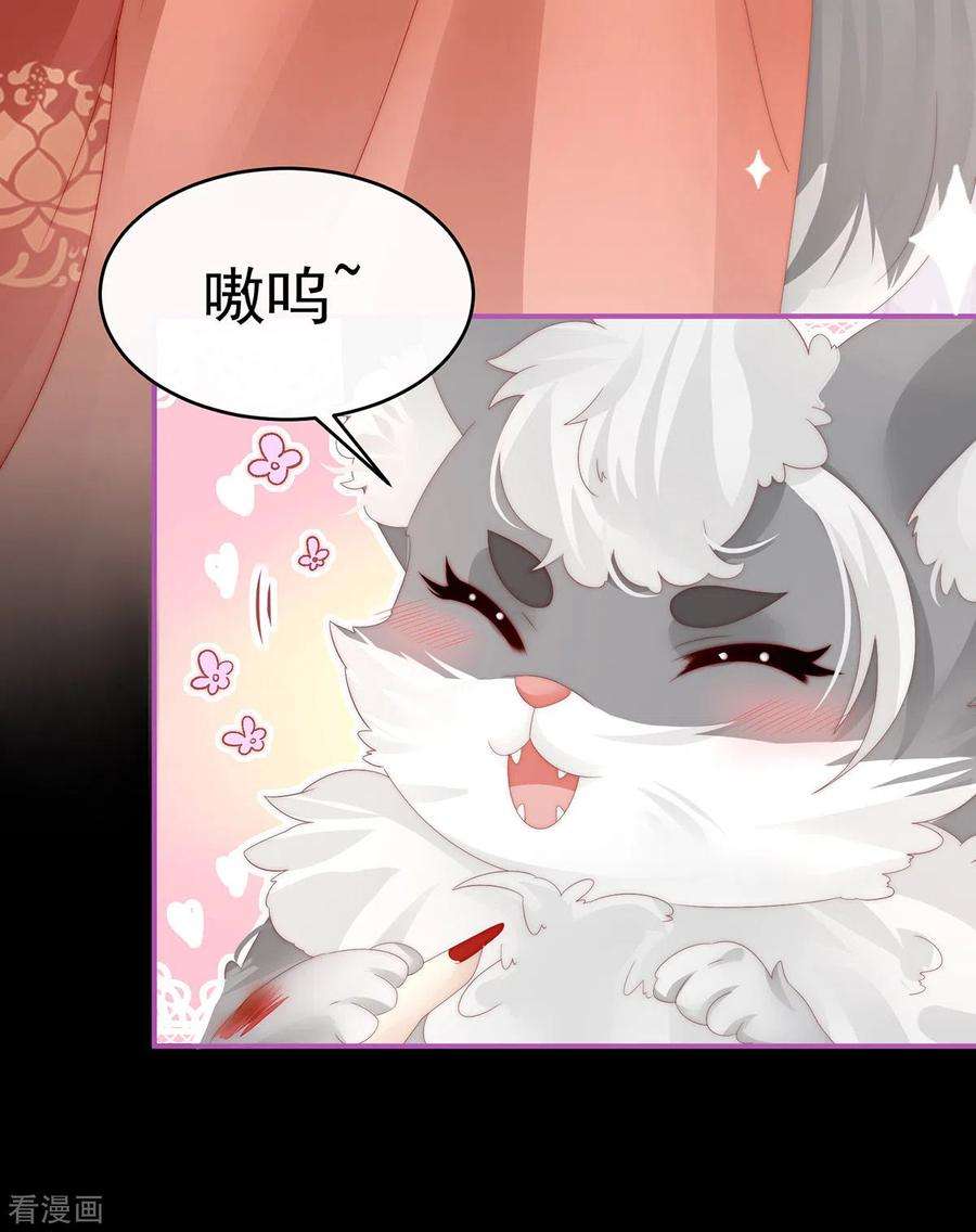 妻主，请享用20话 白嫖一只狼崽