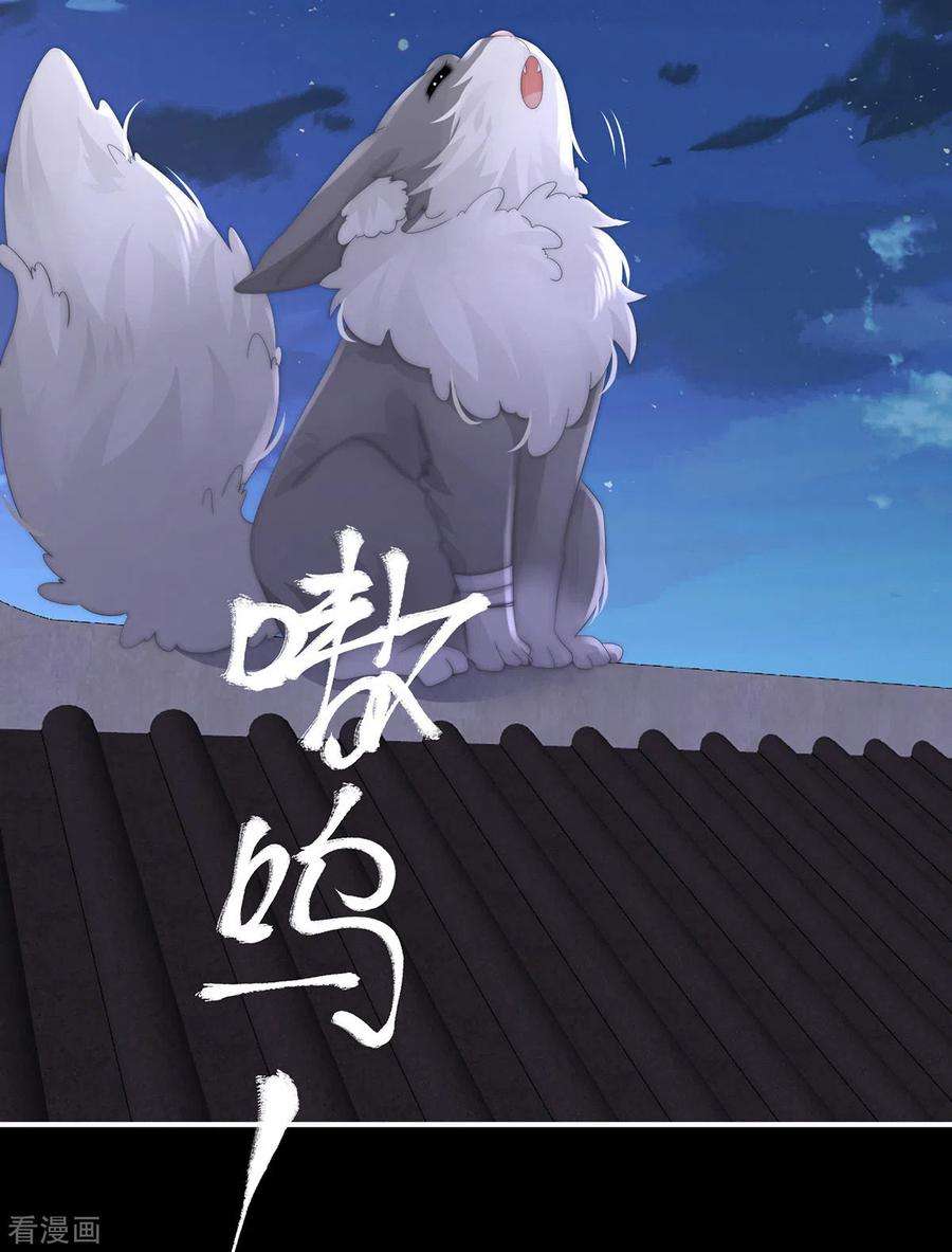 妻主，请享用20话 白嫖一只狼崽