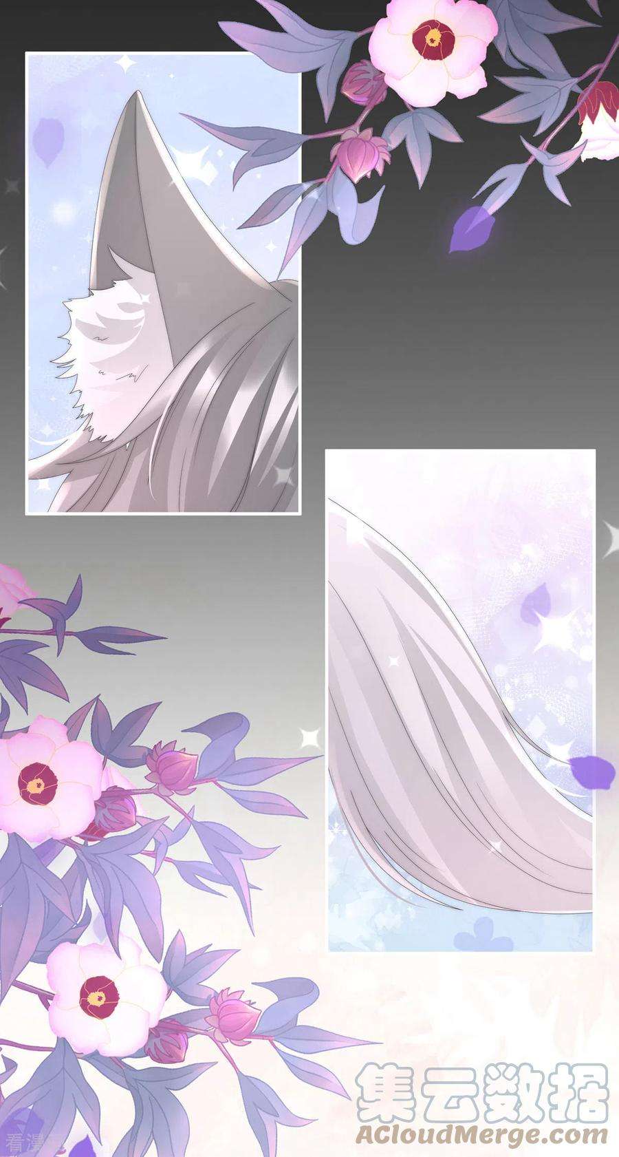 妻主，请享用24话 主人，摸摸我