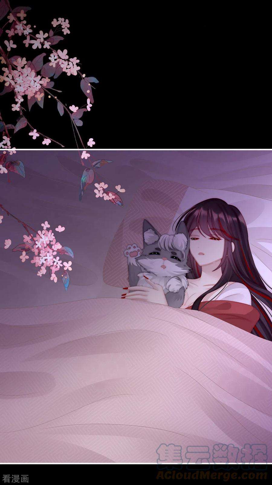 妻主，请享用26话 可怜的小毛团