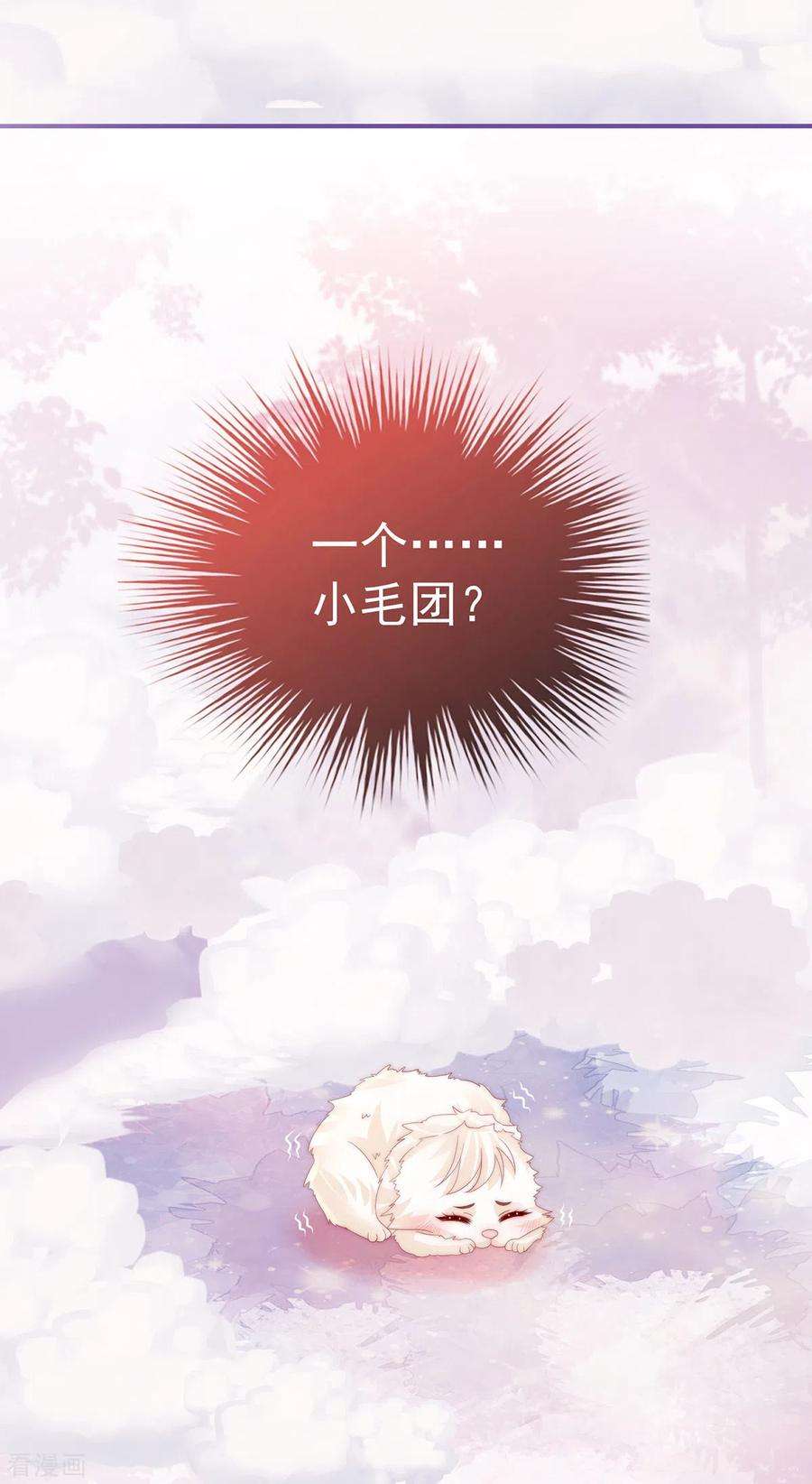 妻主，请享用26话 可怜的小毛团