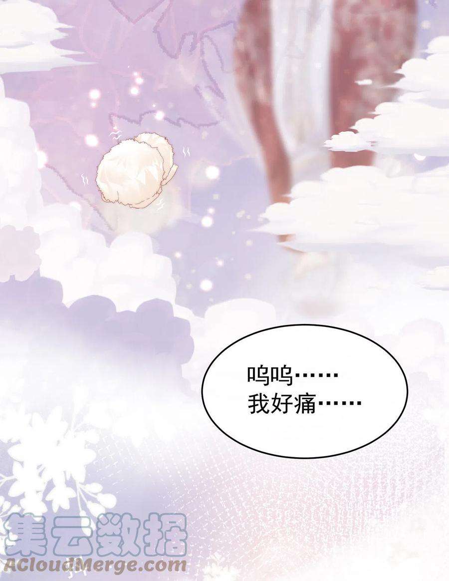 妻主，请享用26话 可怜的小毛团
