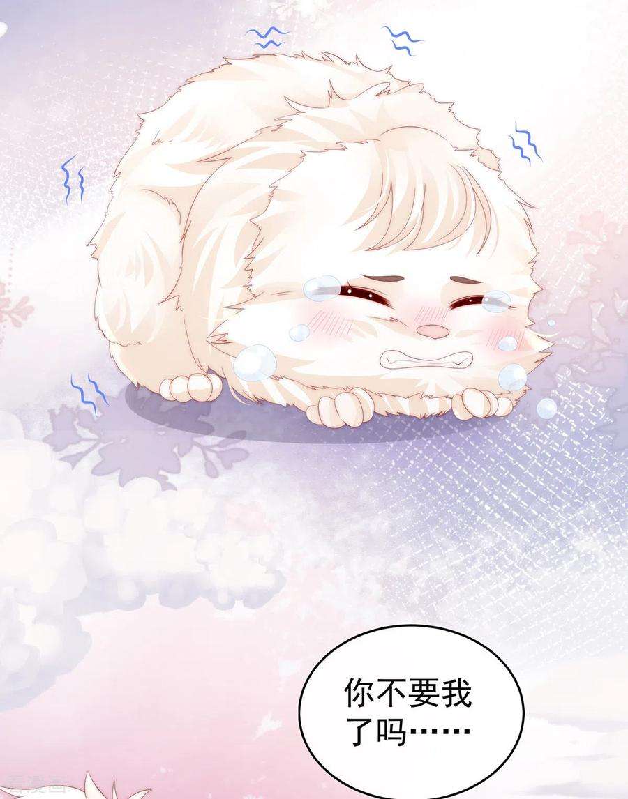 妻主，请享用26话 可怜的小毛团
