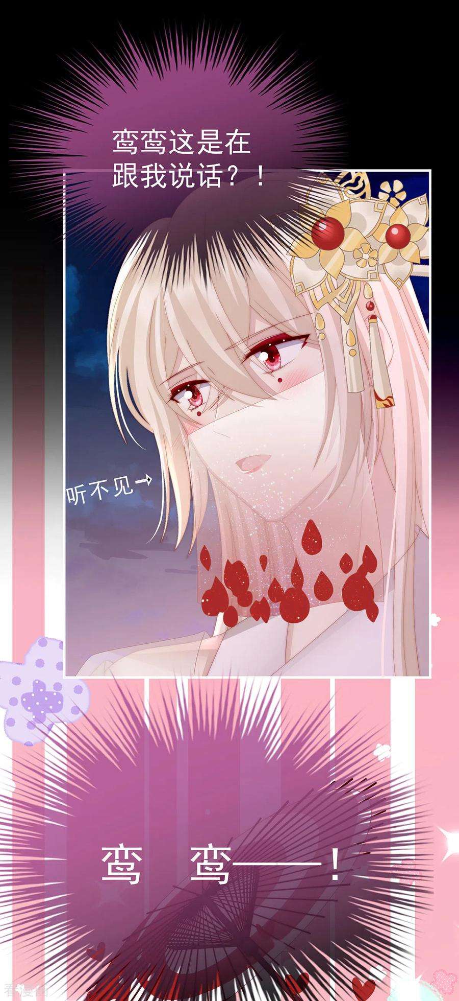 妻主，请享用26话 可怜的小毛团