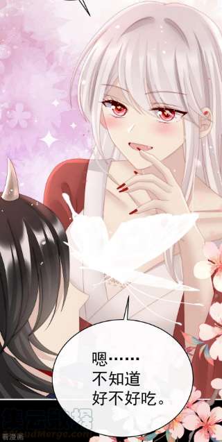妻主，请享用41话 杀了你这妖女！