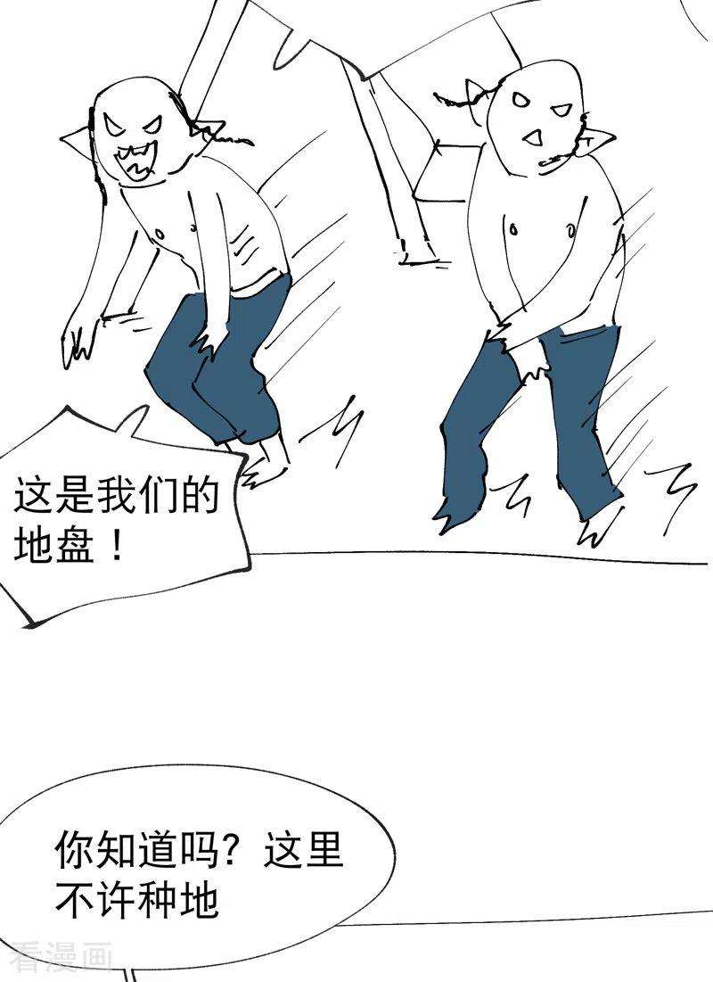 最强内卷系统20话 小白菜之死