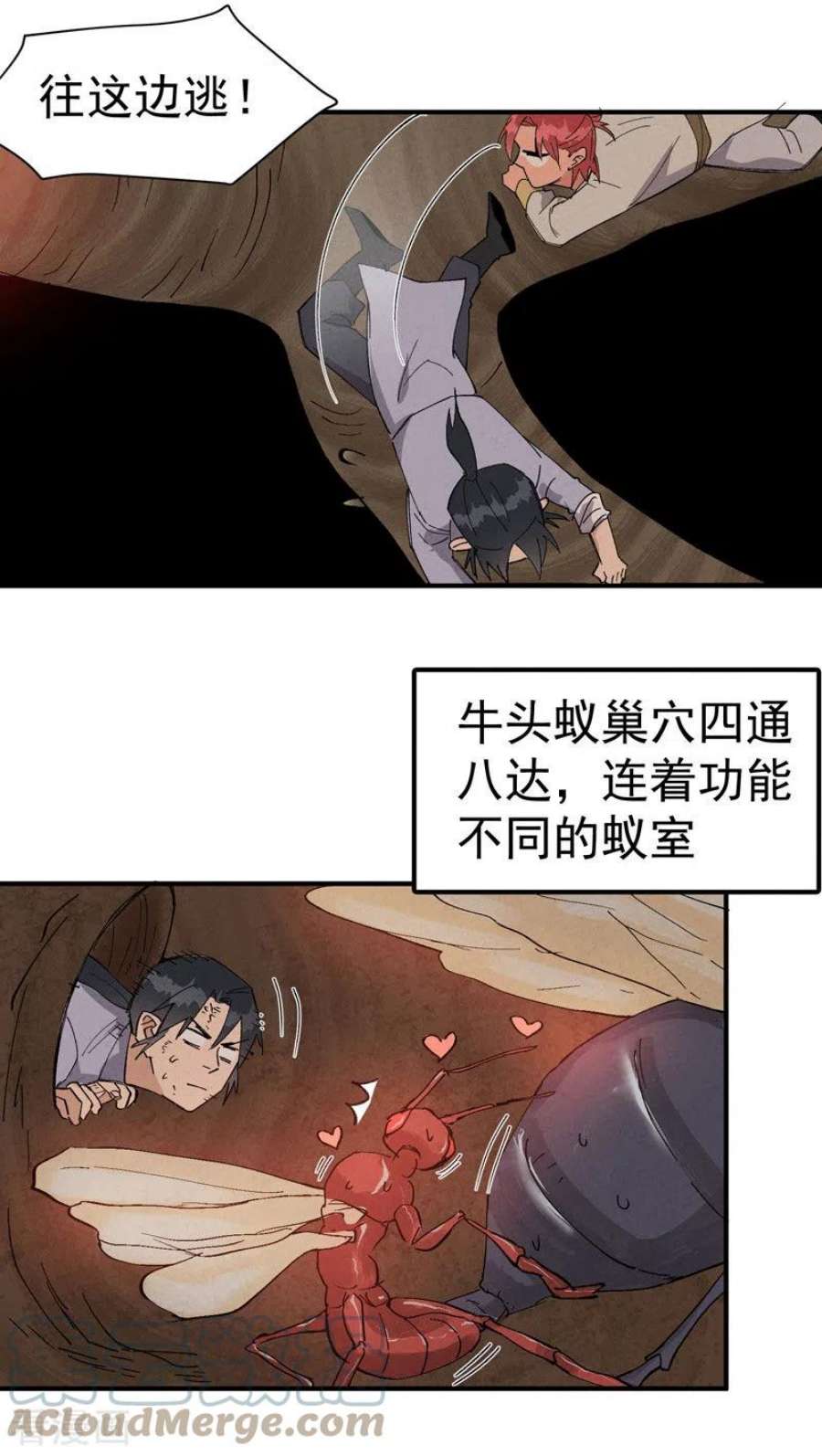 最强内卷系统50话 蚁穴