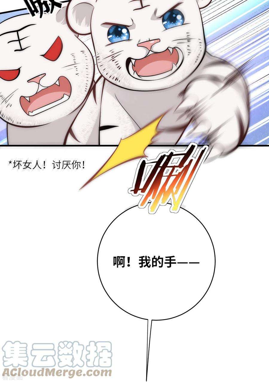 团宠公主三岁半33话 助攻神宠