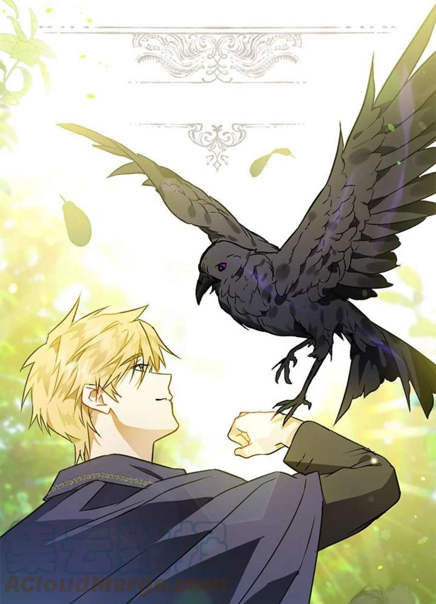 偏偏变成了乌鸦抢先看