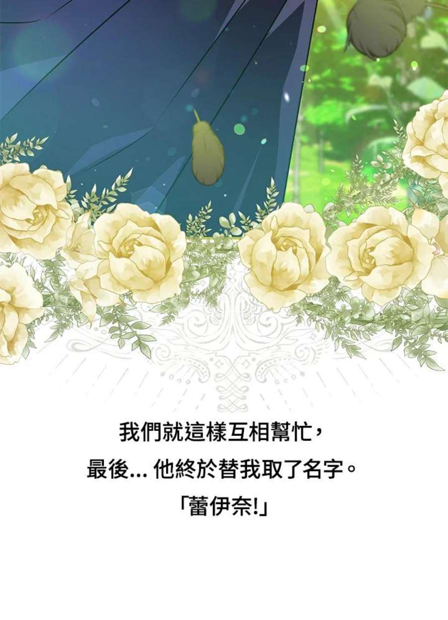 偏偏变成了乌鸦抢先看