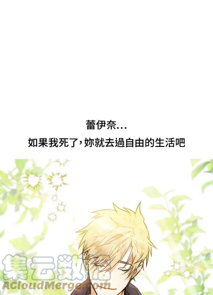 偏偏变成了乌鸦抢先看