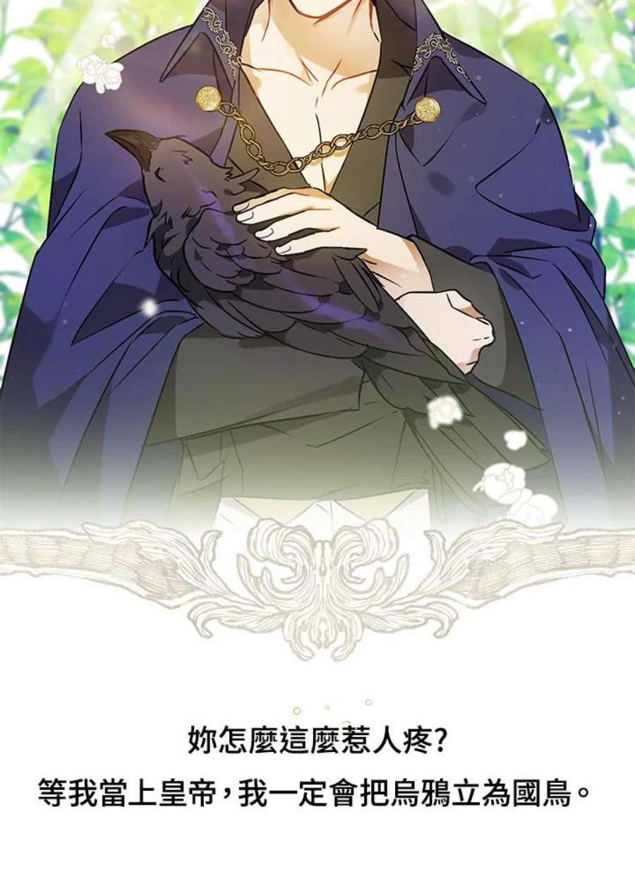 偏偏变成了乌鸦抢先看