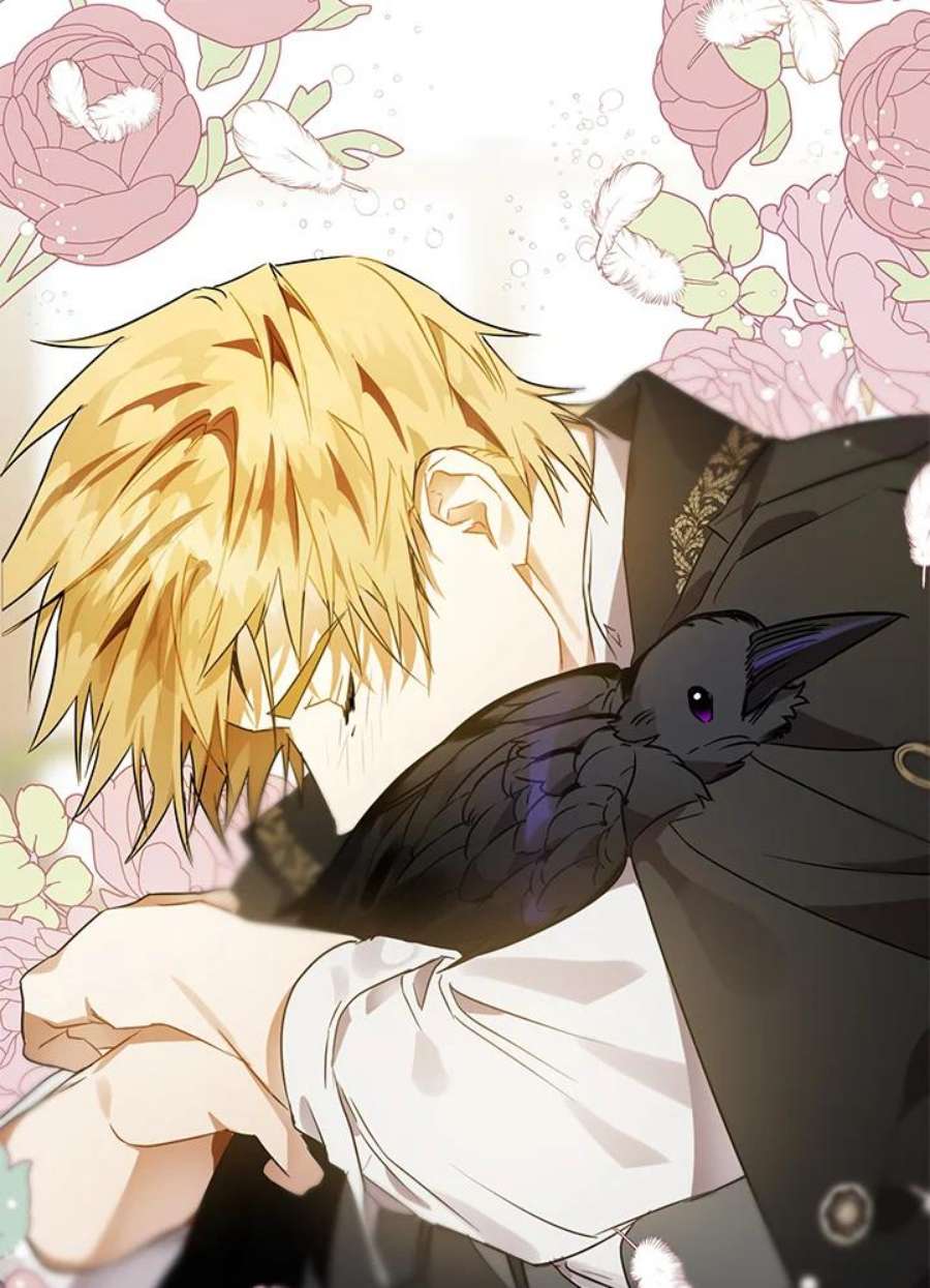 偏偏变成了乌鸦抢先看