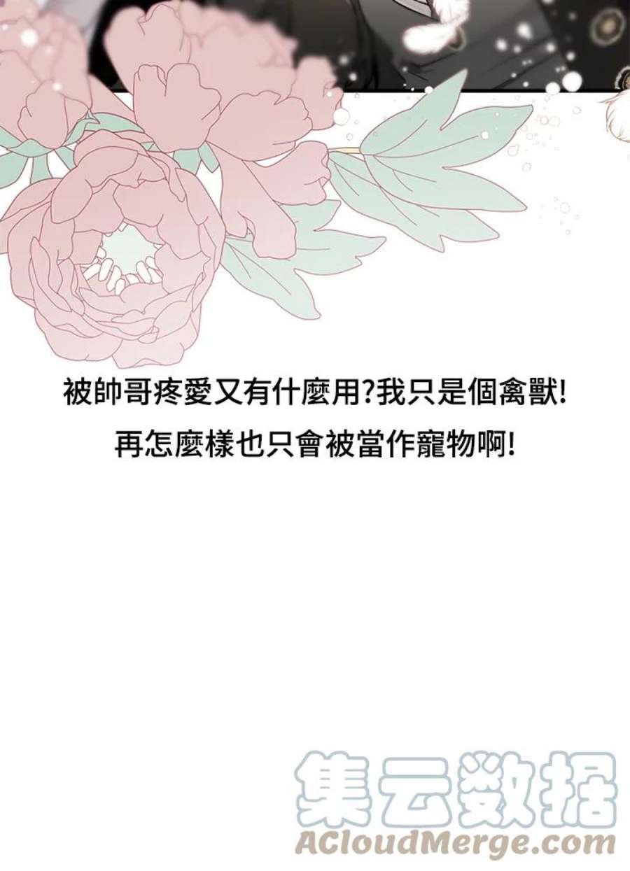 偏偏变成了乌鸦抢先看