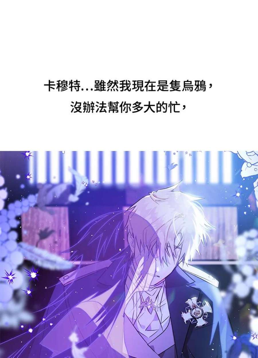 偏偏变成了乌鸦抢先看