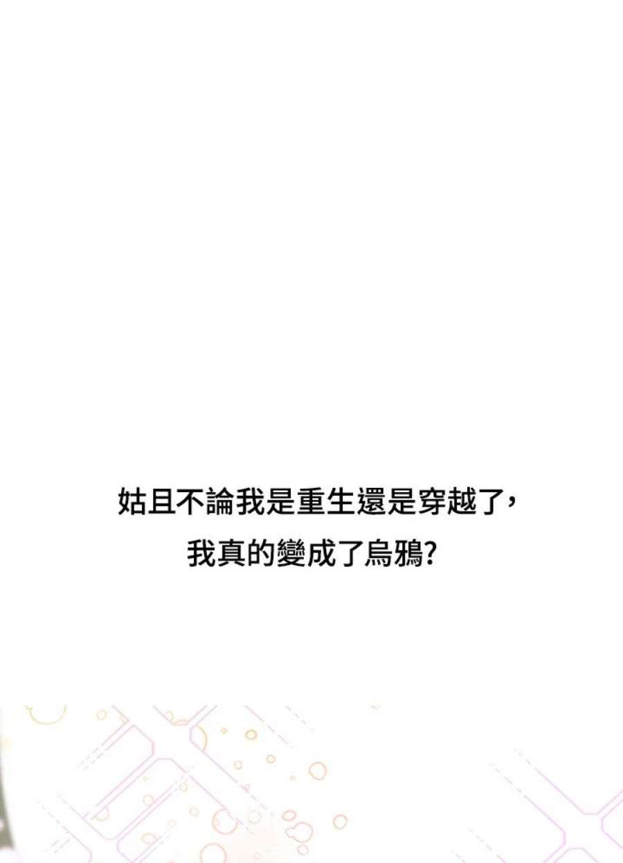 偏偏变成了乌鸦抢先看