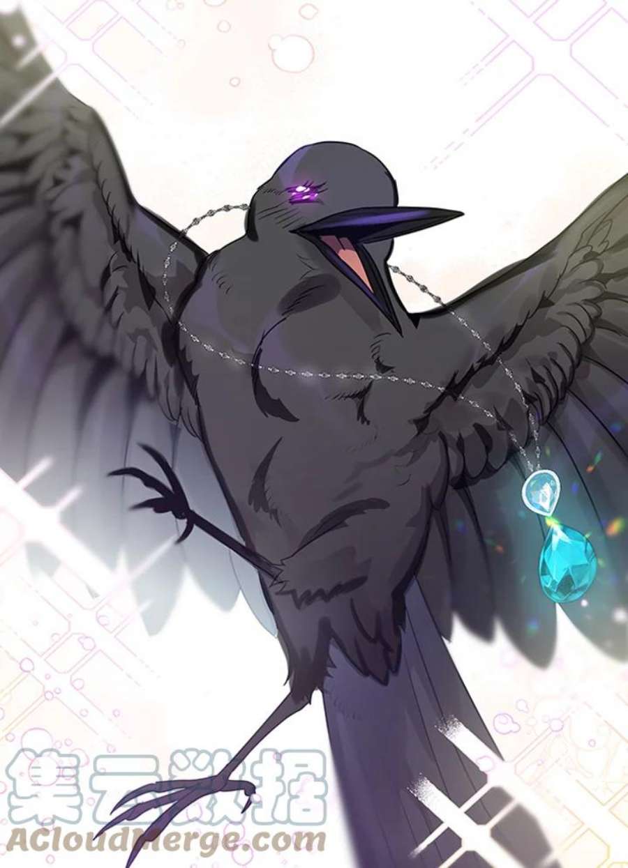 偏偏变成了乌鸦抢先看