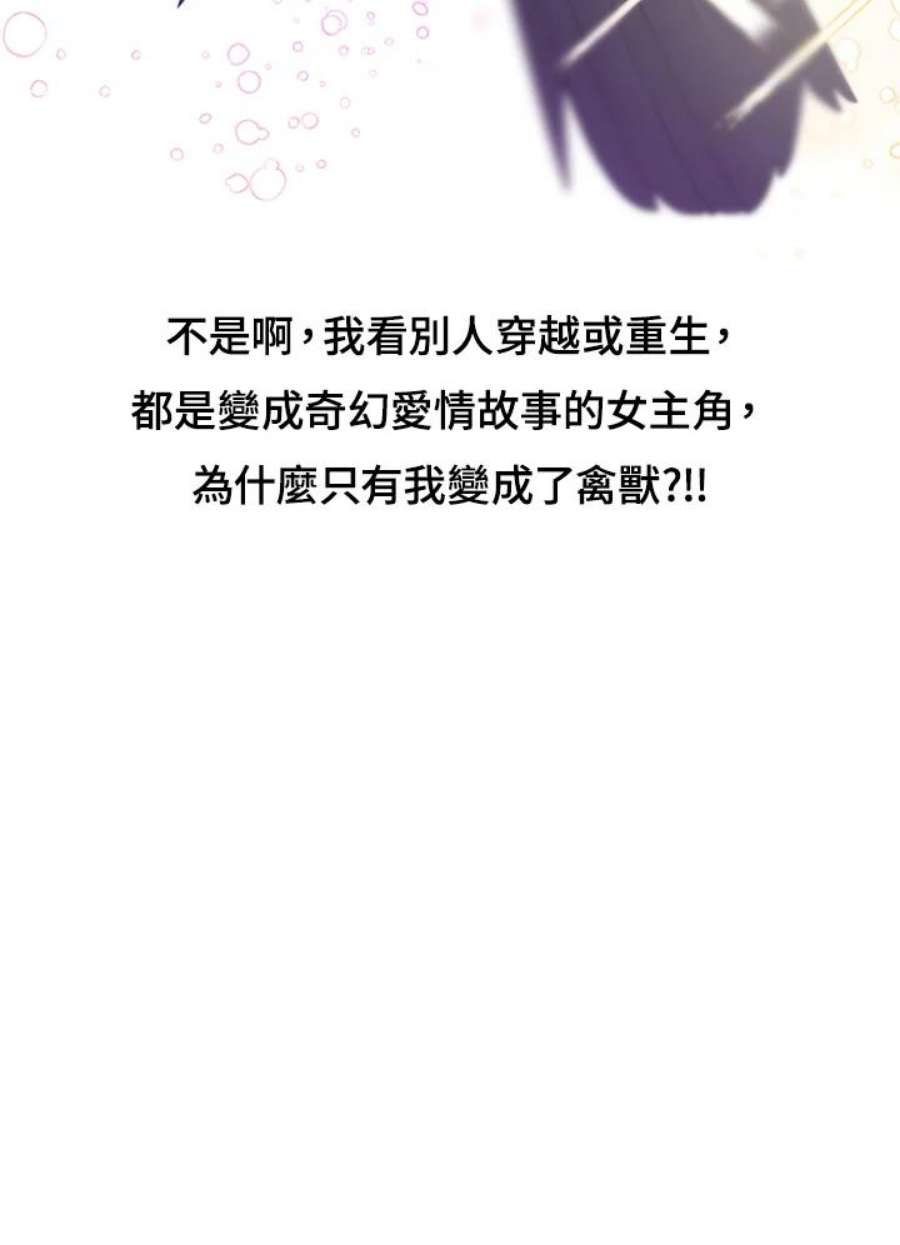 偏偏变成了乌鸦抢先看